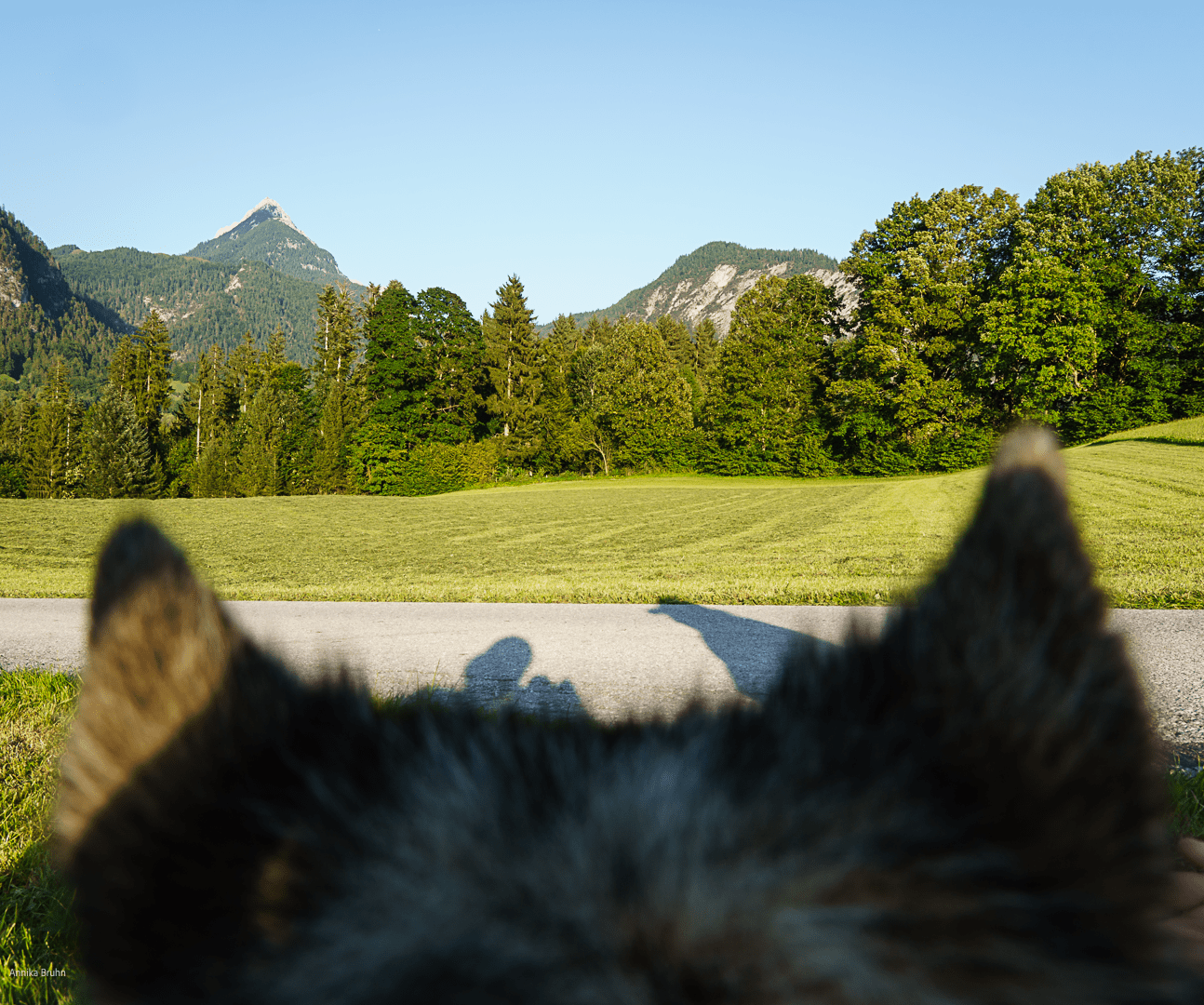 Familien Bild in den Bergen
